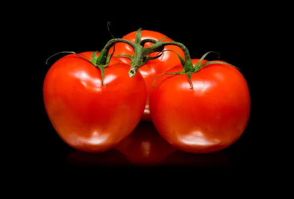 Juicy tomatoes — Stock Photo, Image