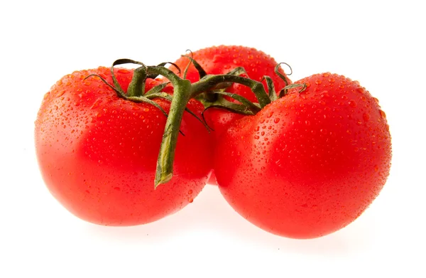 Juicy tomatoes — Stock Photo, Image