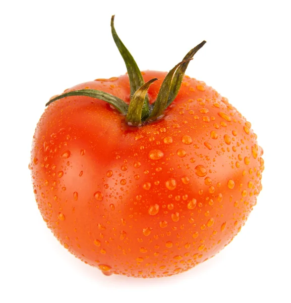 Saftige Tomaten — Stockfoto