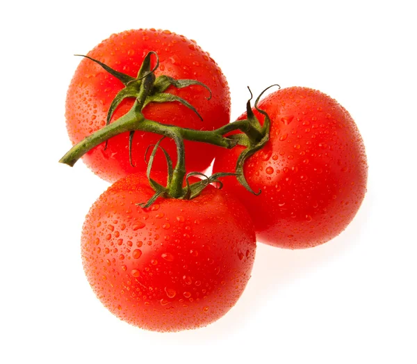 Juicy tomatoes — Stock Photo, Image