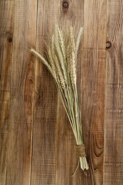 Spikelets — Stockfoto