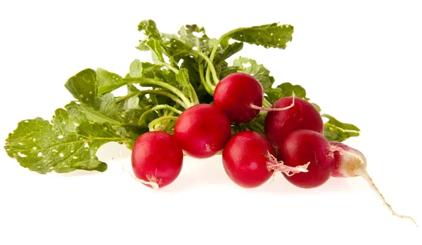 Radish — Stock Photo, Image