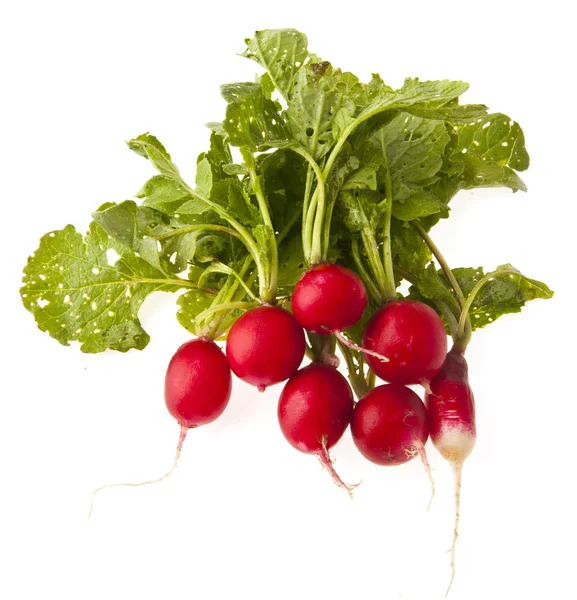 Radish — Stock Photo, Image