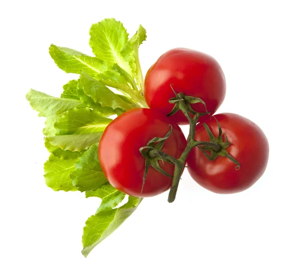 Pomodori — Foto Stock