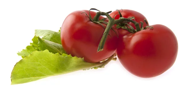 Pomodori — Foto Stock