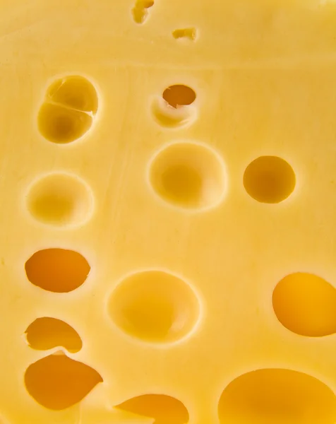 Queso — Foto de Stock