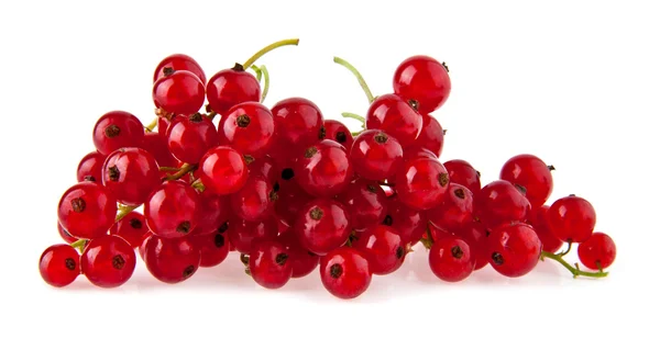 Currant — Stock Photo, Image