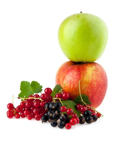 Apples and currant — Stock Photo, Image