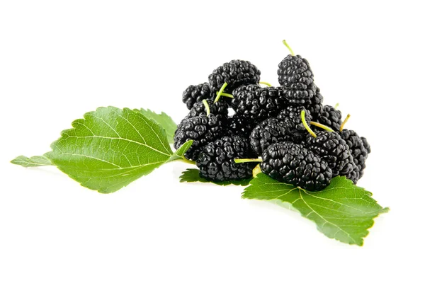 Mulberry — Stock Photo, Image