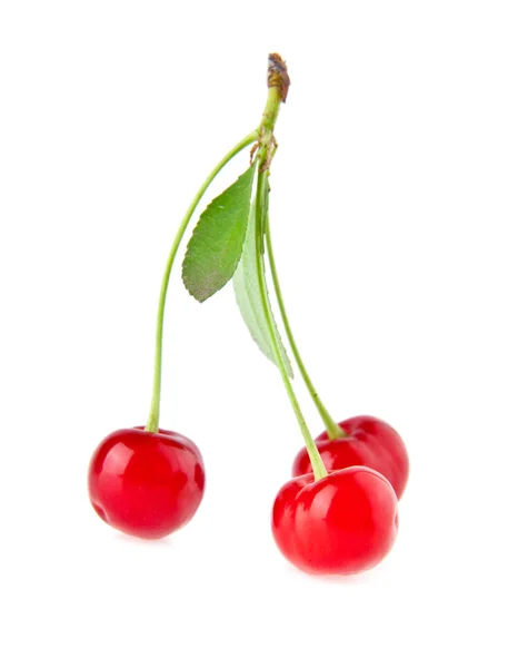 Cherries — Stock Photo, Image