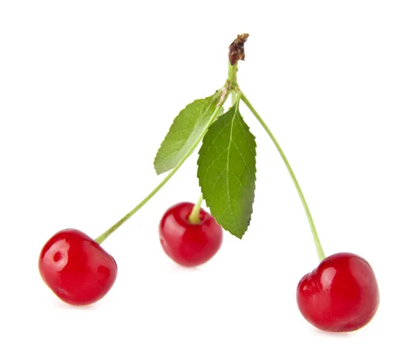 Cherry — Stock Photo, Image