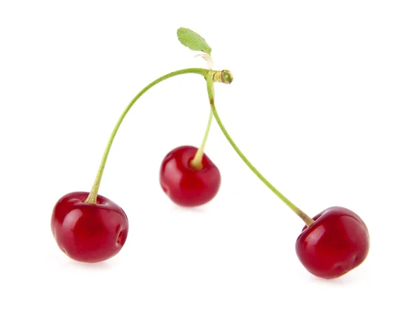 Juicy cherry — Stock Photo, Image