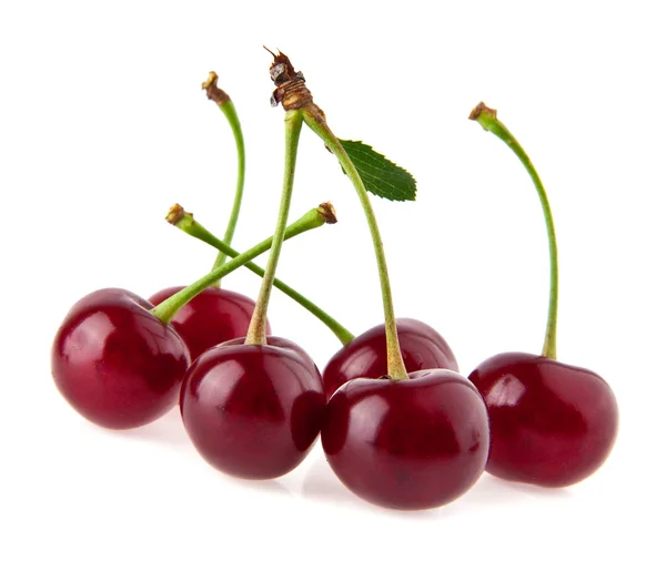 Cherry — Stock Photo, Image