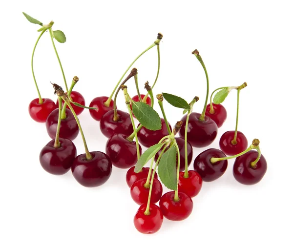 Cherry — Stock Photo, Image