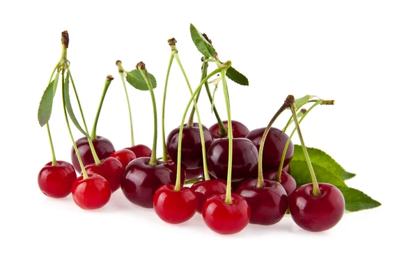 Cherry — Stock Photo, Image