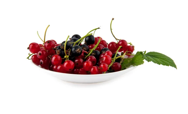 Currant in a dish — Stock Photo, Image