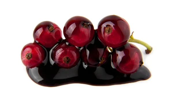 Ribes in cioccolato — Foto Stock