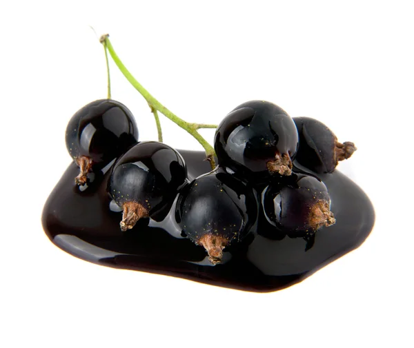 Currant in chocolate — Stock Photo, Image