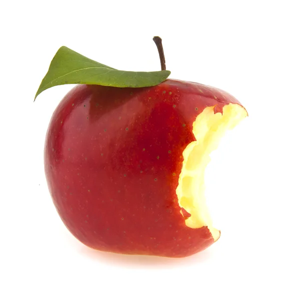 Aardappel — Stockfoto