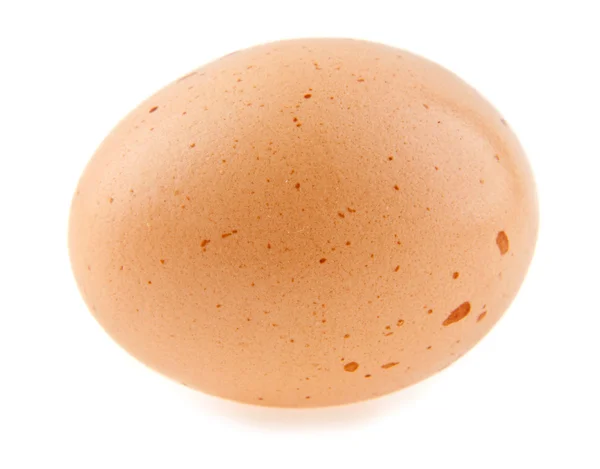 ไข่ไก่ — ภาพถ่ายสต็อก