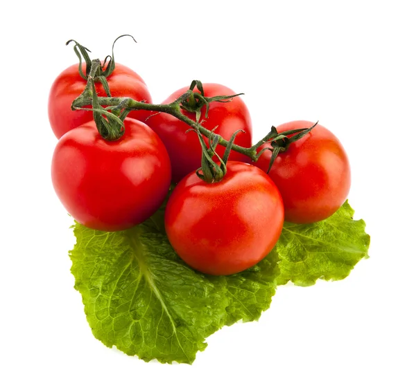 Pomodori — Foto Stock