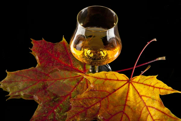 Cognac and leaves — Stock Photo, Image