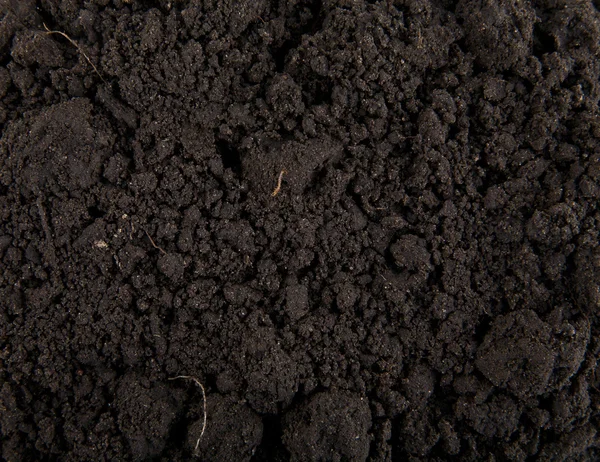 Soil — Stock Photo, Image