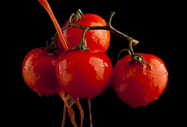 Tomaten — Stockfoto