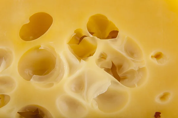 Cheese as background — Stock Photo, Image