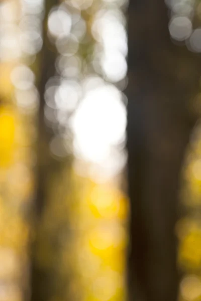 Abstract autumn background — Stock Photo, Image