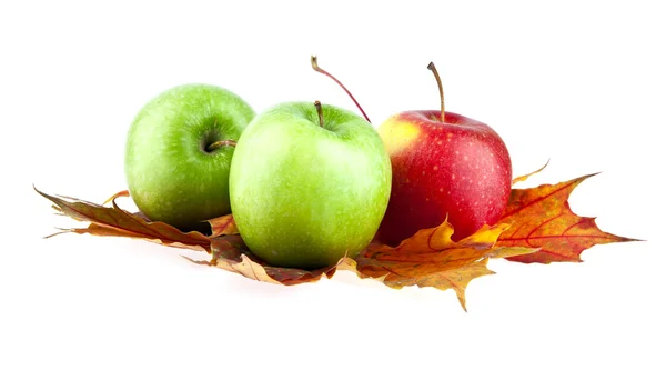 Apples on autumn leaves — Stock Photo, Image