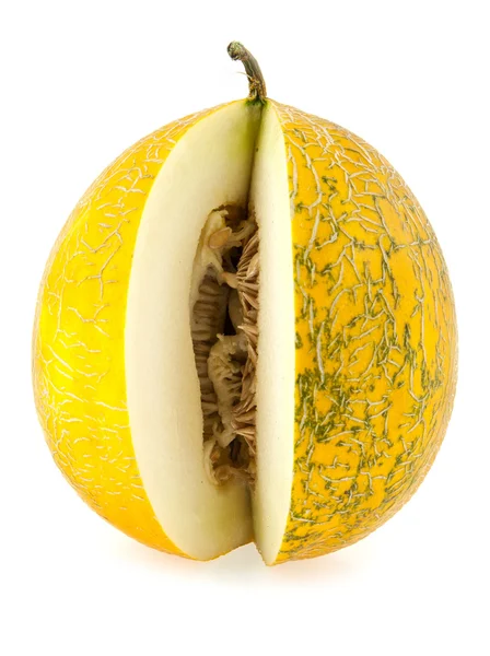 Melon — Zdjęcie stockowe