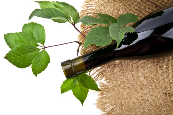 Bottle of wine — Stock Photo, Image