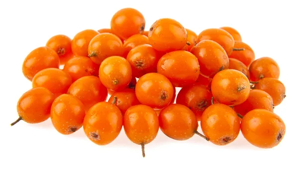 Sea-buckthorn — Stock Photo, Image