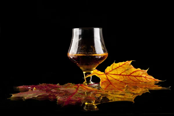 Cognac and leaves — Stock Photo, Image