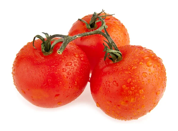 Tomates en gotas de agua — Foto de Stock