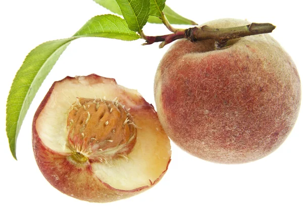 Peaches — Stock Photo, Image