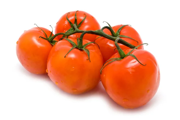 Tomates rouges juteuses — Photo