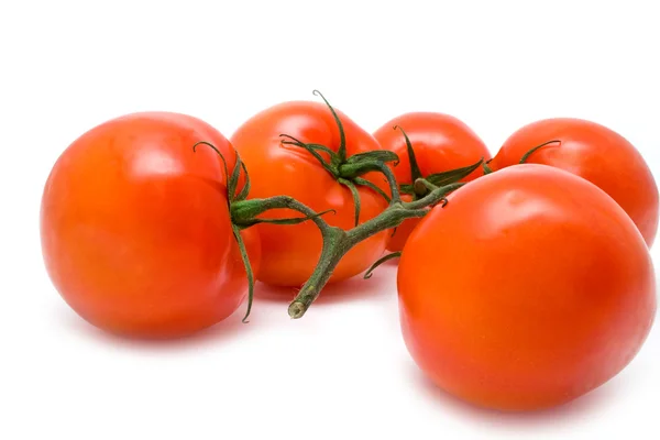 Röda saftiga tomater — Stockfoto