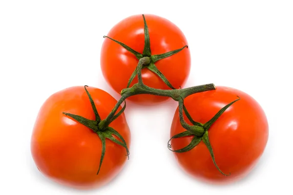 Red juicy tomatoes — Stock Photo, Image