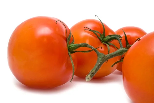 Rote saftige Tomaten — Stockfoto
