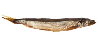 füme capelin