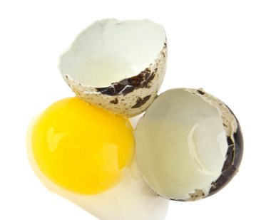 Bıldırcın yumurta