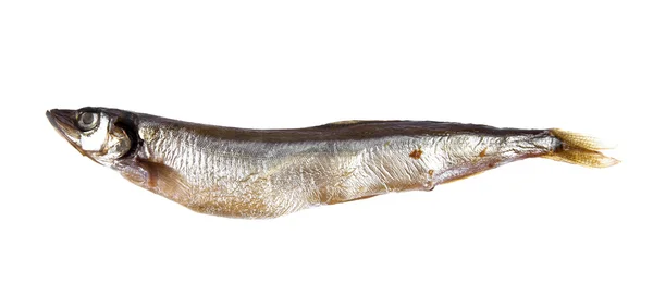 Geräucherter Kapellenfisch — Stockfoto