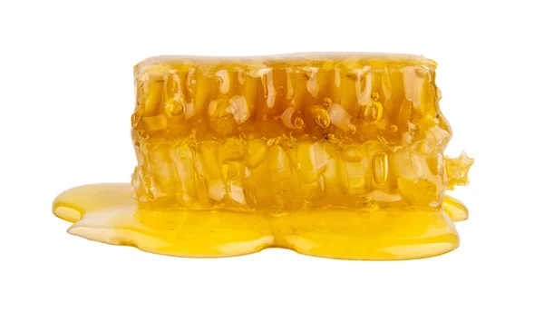 Honey — Stock Photo, Image