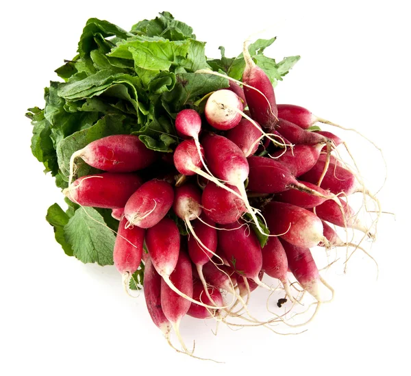 Radish — Stock Photo, Image