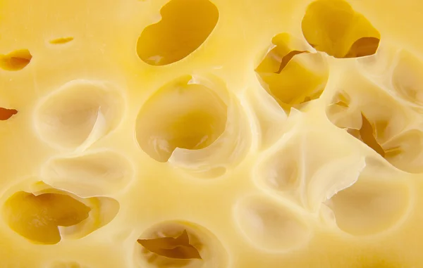 Cheese — Stock Photo, Image