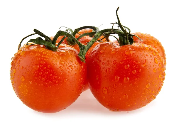 Tomatoes — Stock Photo, Image