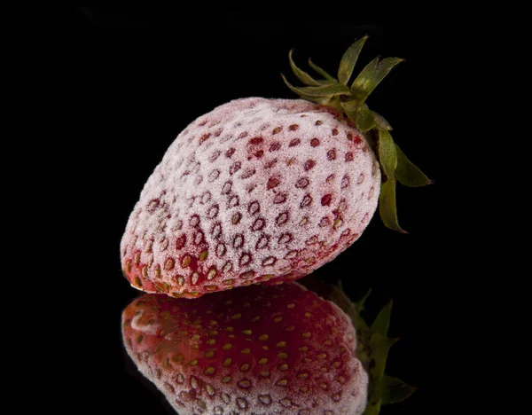 Tiefkühl-Erdbeere — Stockfoto