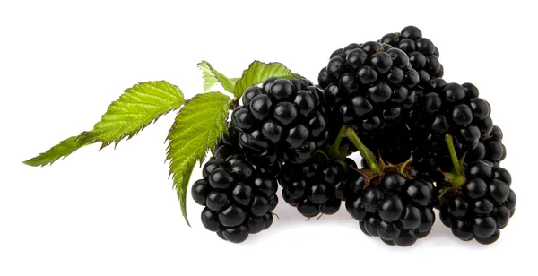 BlackBerry — стокове фото